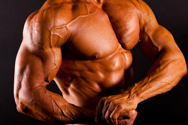Testosterone is a Steroid in and near Tampa Florida